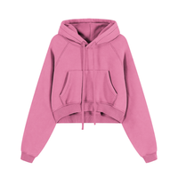 Snow Washed Cropped Hoodie