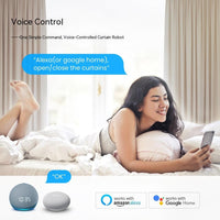Wifi Curtain Robot Smart Home Roman Rod Electric Curtain Companion