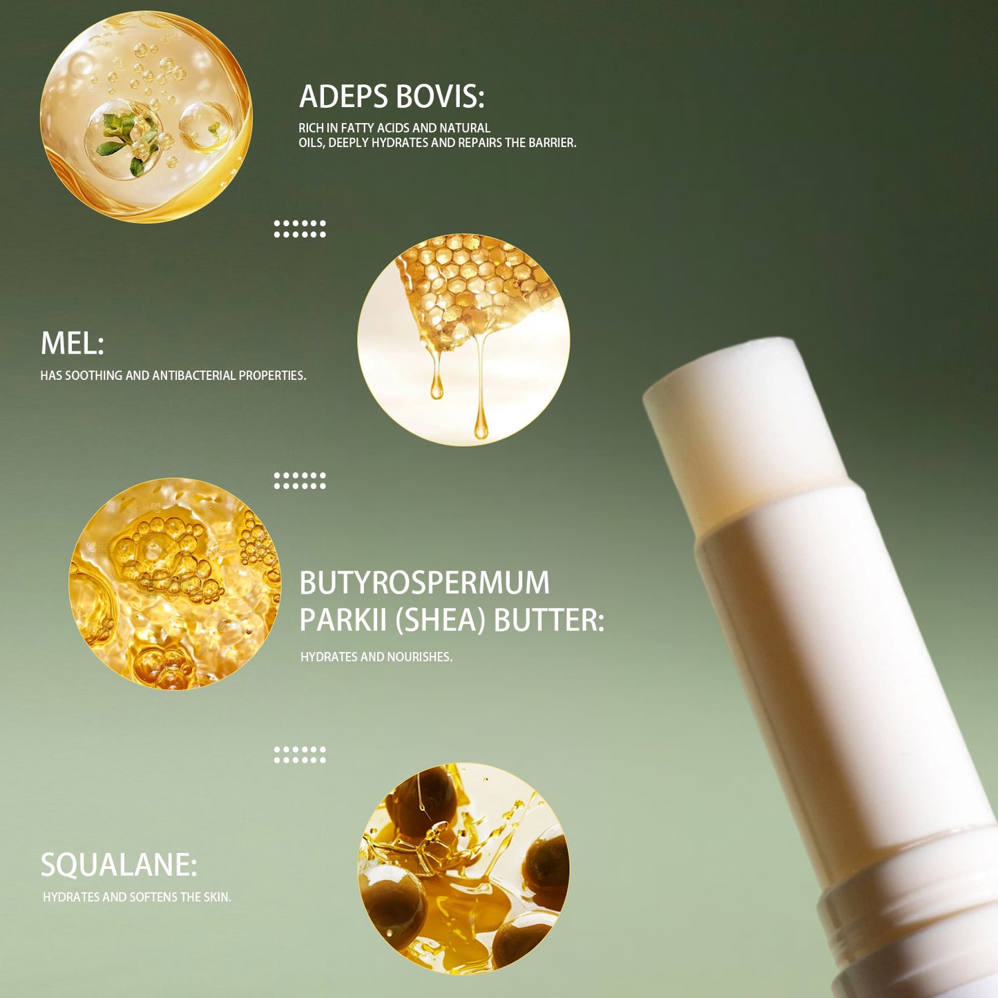 Tallow Lip Balm Beauty Tools