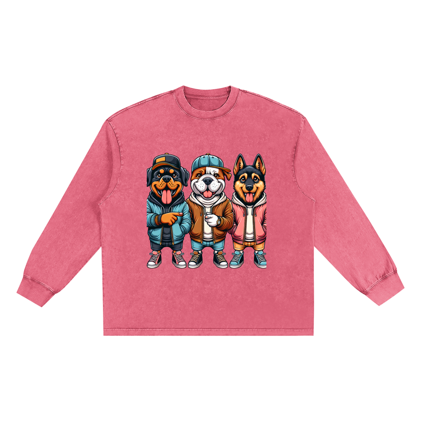 Snow Washed Oversize Long Sleeve T-shirt