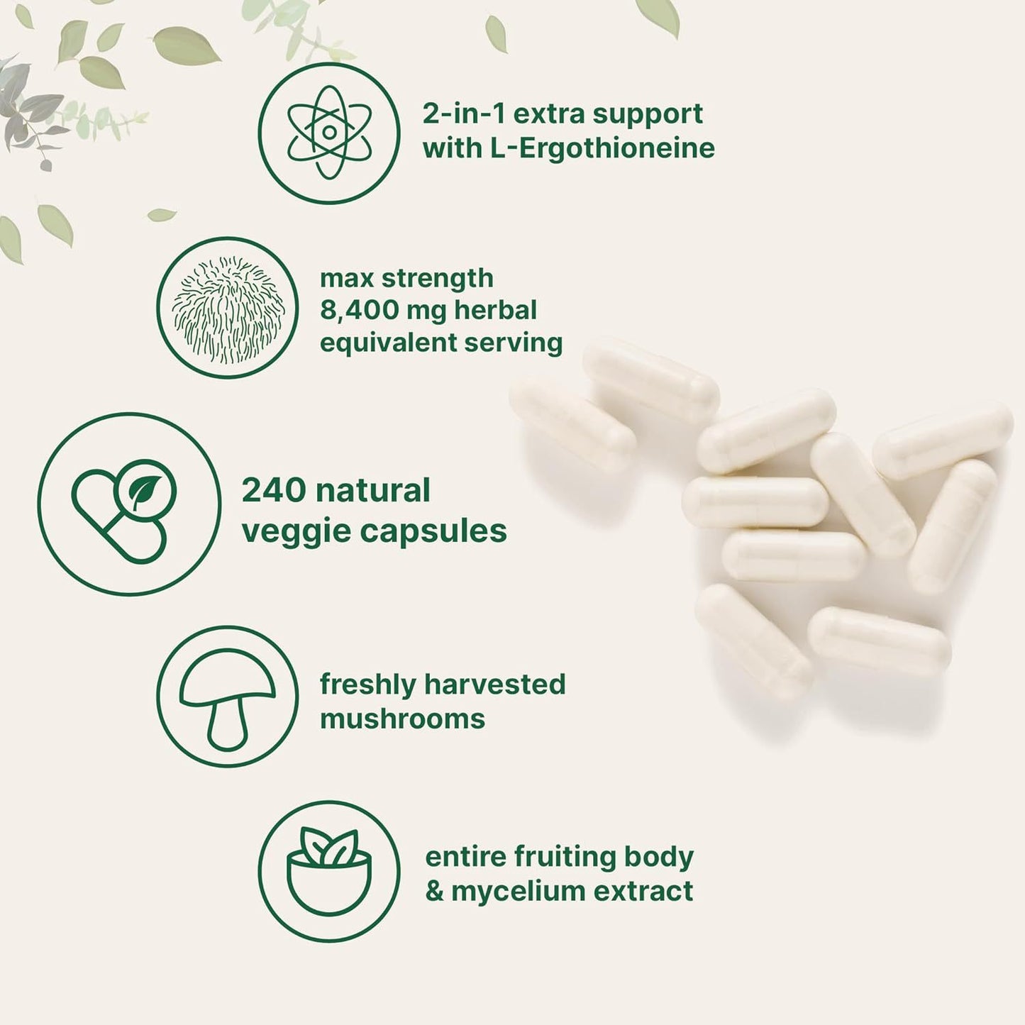 Lion Mane Capsule Refined Sulfur Phosphorus