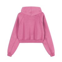 Snow Washed Cropped Hoodie