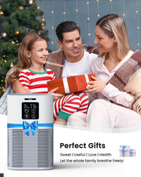Air Purifier - FBA Warehouse Shipping, -It Is Forbidden To Sell On Amazon, Temu Platforms