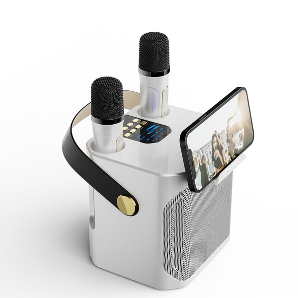 Bluetooth Speaker Outdoor Karaoke Large Volume Home Dual Microphone With Microphone Karaoke All-in-one Machine